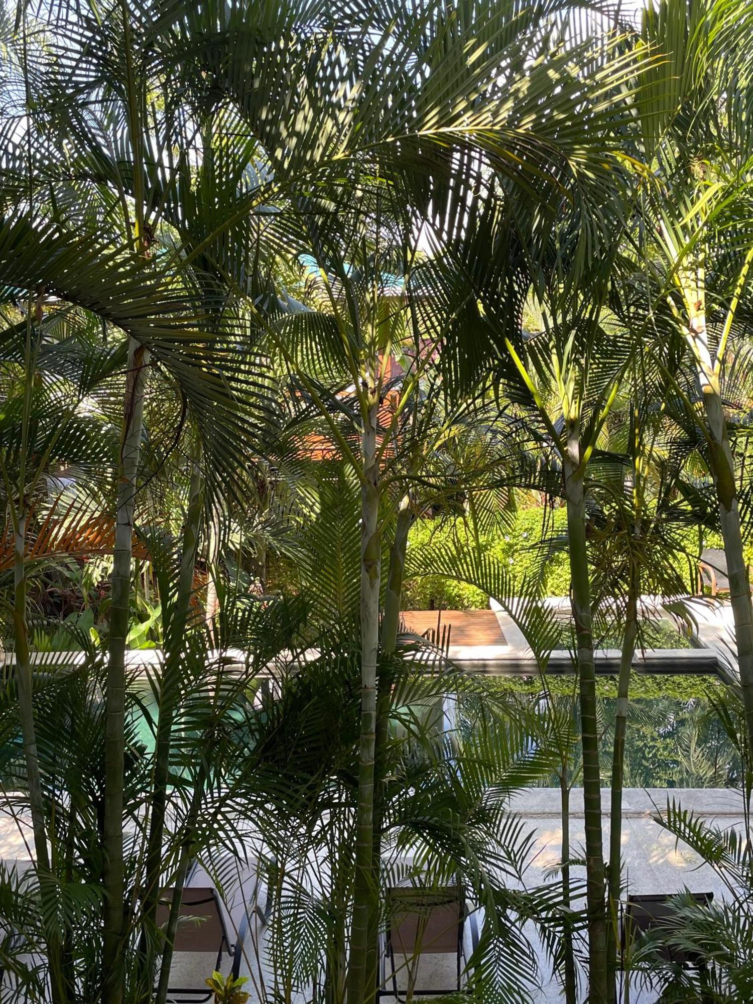 Ohana Villas Playa Santa Teresa  Ngoại thất bức ảnh
