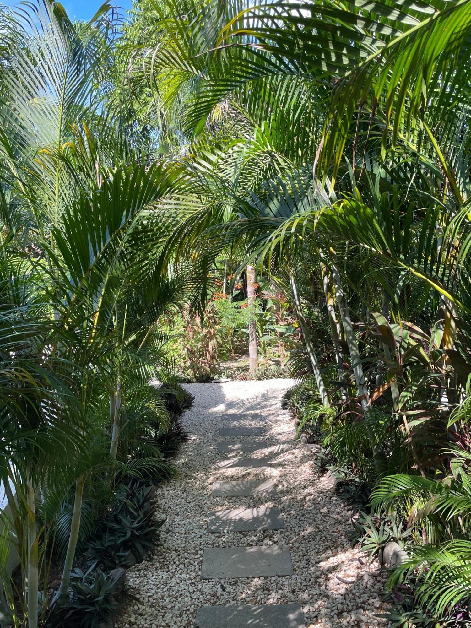 Ohana Villas Playa Santa Teresa  Ngoại thất bức ảnh